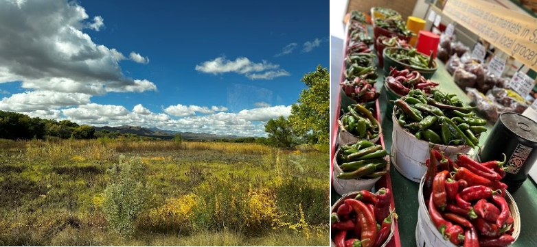 New Mexico is known as the "Land of Enchantment" and it is enchanting indeed, from the land to the amazing food! 