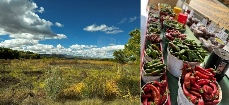 New Mexico Land of Enchantment